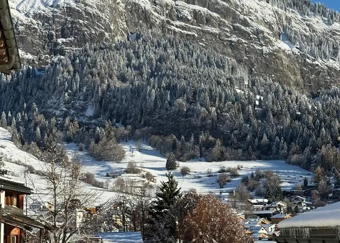 Light Alpine With View Heart Of Apartment