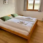 Light Alpine With View Heart Of